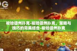 梭哈德州扑克-梭哈德州扑克，策略与技巧的完美结合-梭哈德州扑克