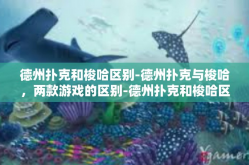 德州扑克和梭哈区别-德州扑克与梭哈，两款游戏的区别-德州扑克和梭哈区别