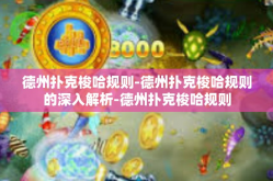 德州扑克梭哈规则-德州扑克梭哈规则的深入解析-德州扑克梭哈规则