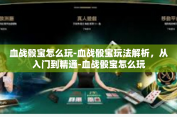 血战骰宝怎么玩-血战骰宝玩法解析，从入门到精通-血战骰宝怎么玩