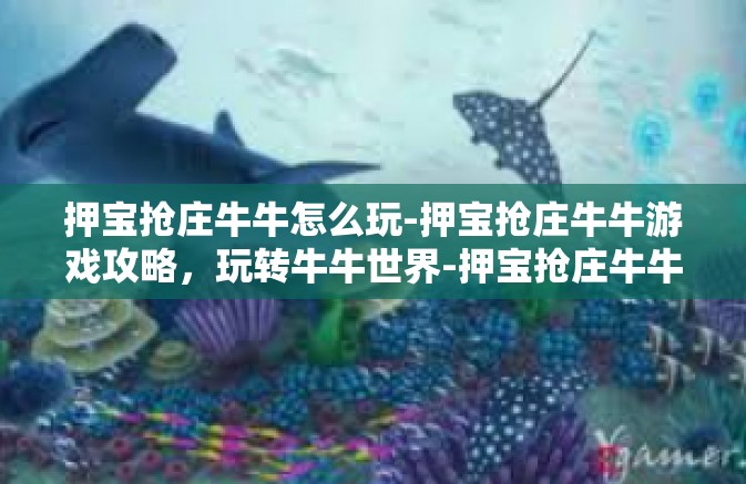 押宝抢庄牛牛怎么玩-押宝抢庄牛牛游戏攻略，玩转牛牛世界-押宝抢庄牛牛怎么玩