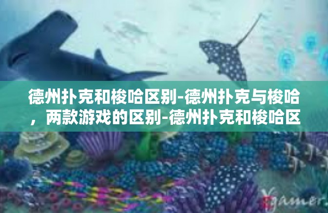 德州扑克和梭哈区别-德州扑克与梭哈，两款游戏的区别-德州扑克和梭哈区别