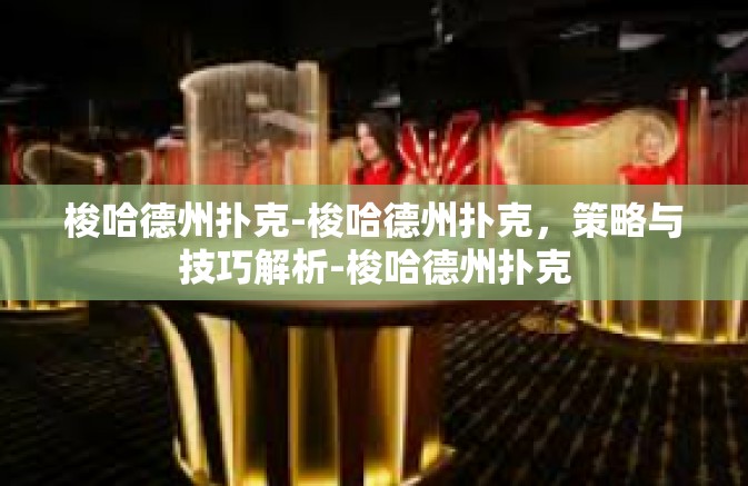 梭哈德州扑克-梭哈德州扑克，策略与技巧解析-梭哈德州扑克